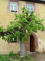2012-05-05, Leisnig (63)